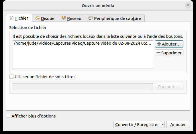 convertir une vidéo WebM en MP4 